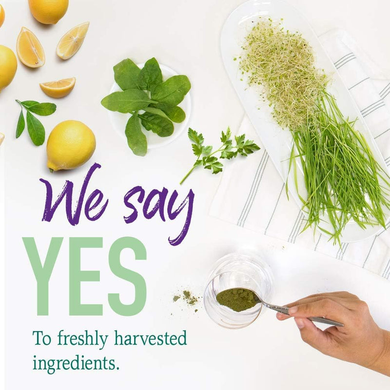 garden-of-life-vegan-green-superfood-powder---raw--7.jpg