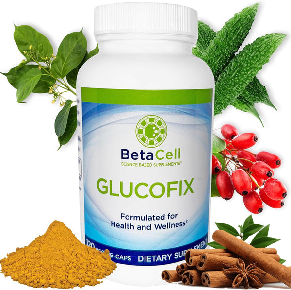 glucofix---berberine-supplement---herbal-supplement-with-cinnamon-gymnema-berberine-bitter-melon-and-turmeric---120-capsules-1