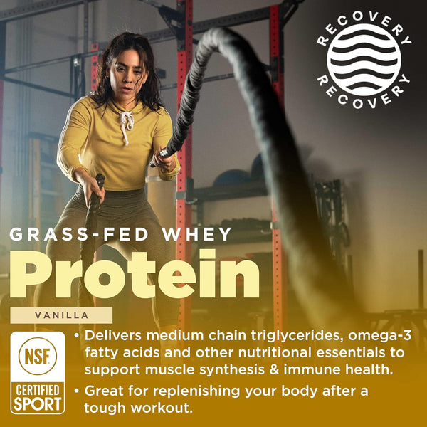 gnarly-nutrition-vanilla-protein-powder-nsf-sport--3.jpg