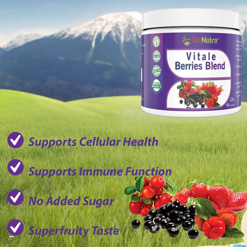 go-nutra-antioxidant-berries-blend-superfood-smoothie-powder-with-acai-maqui-goji-more-nutritional-boost-smoothie-mix-8oz-5