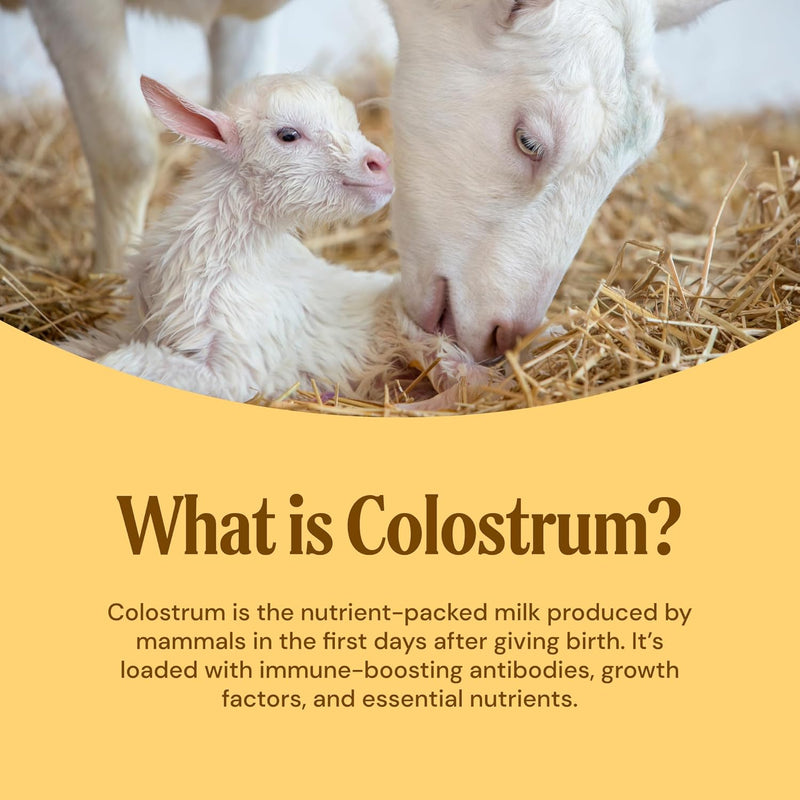 goat-milk-colostrum-powder-grass-fed-natural-immune-system-and-gut-health-support-60-grams-3