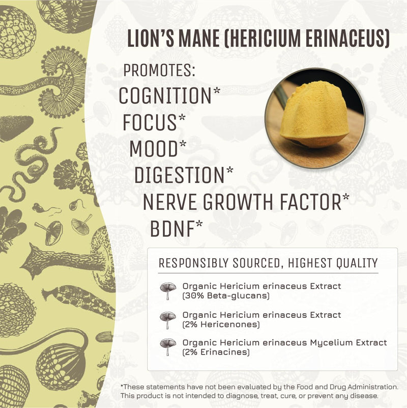 hamiltons-lucid-lions-mane-organic-mushroom-extrac-3.jpg