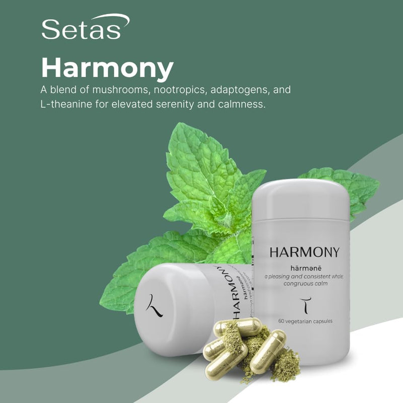 harmony-mushroom-botanical-supplement-by-setas-org-3.jpg