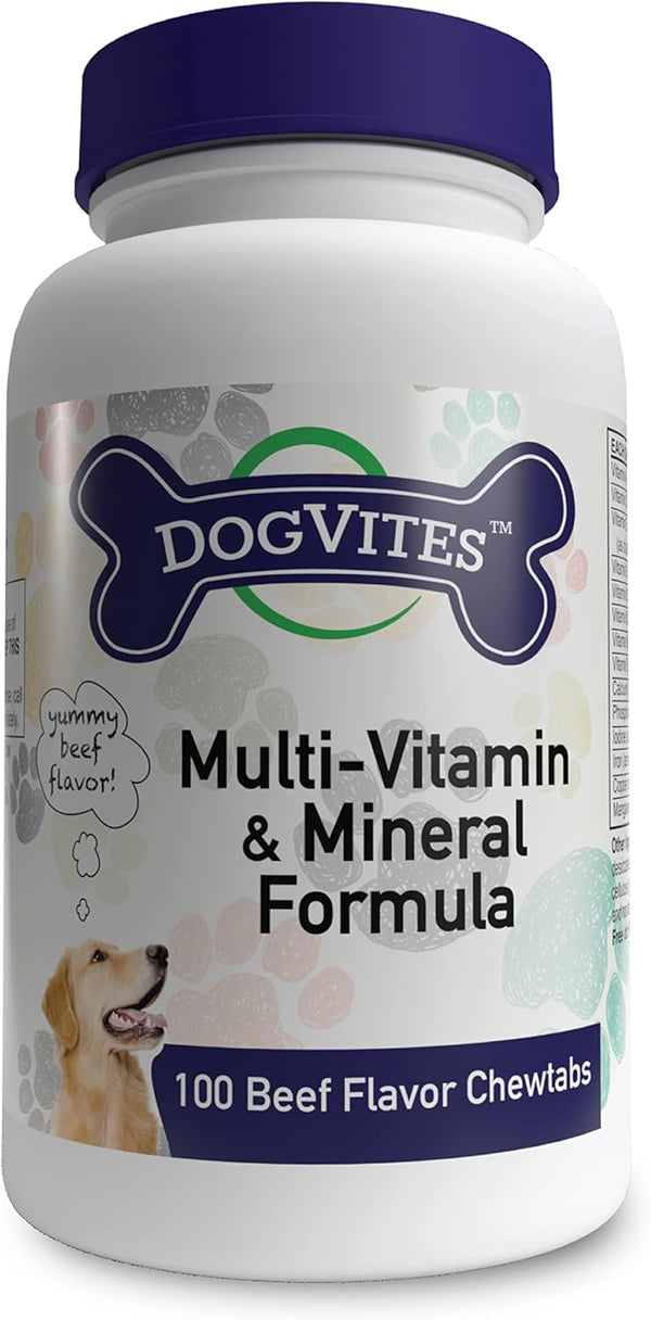 health-thru-nutrition-dog-vites-multivitamins-for-dogs-beef-flavored-chewable-tablets-pack-of-100-1