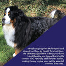 health-thru-nutrition-dog-vites-multivitamins-for-dogs-beef-flavored-chewable-tablets-pack-of-100-4