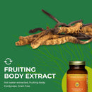 healthforce-superfoods-integrity-extracts-cordycep-6.jpg