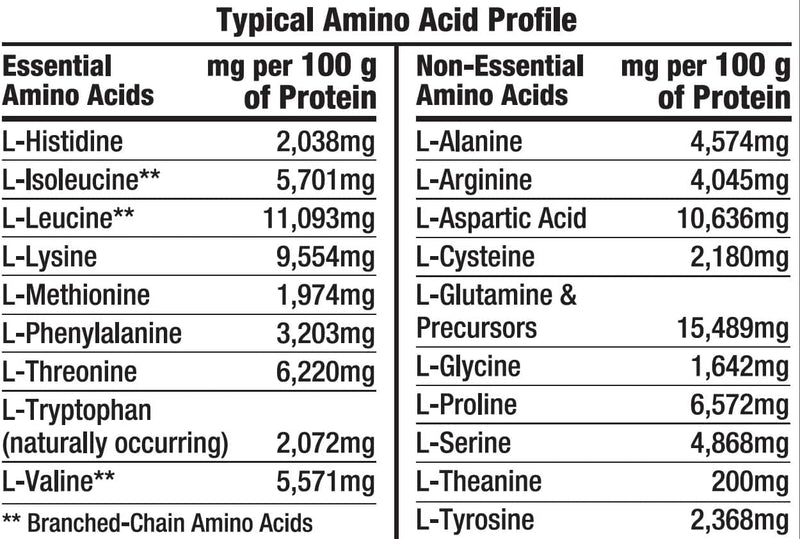 healthy-n-fit-100-whey-pro-amino-v20-chocolate-2lb-4.jpg