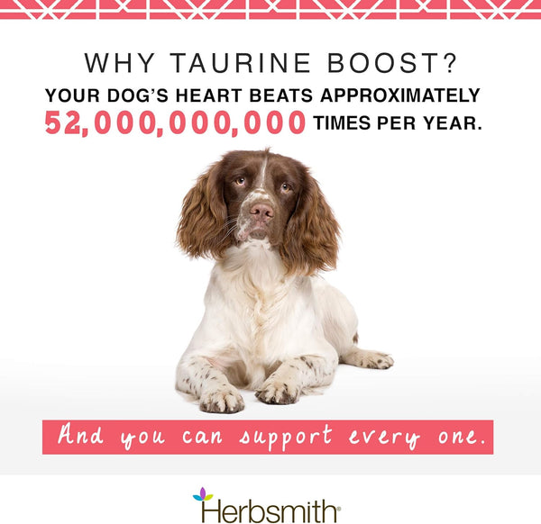 herbsmith-taurine-boost---cardiac-and-heart-support-for-dogs-and-cats---taurine-supplement-for-dog-and-cat-heart-health-with-coq10-taurine-and-l-carnitine-for-dogs---75g-1