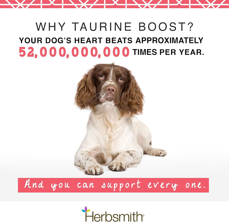 herbsmith-taurine-boost---cardiac-and-heart-support-for-dogs-and-cats---taurine-supplement-for-dog-and-cat-heart-health-with-coq10-taurine-and-l-carnitine-for-dogs---75g-1