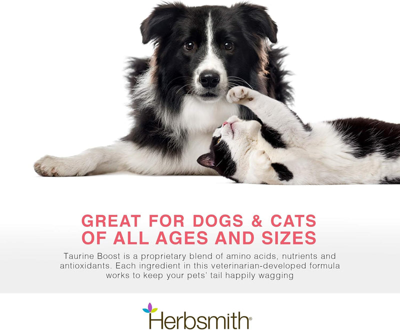 herbsmith-taurine-boost---cardiac-and-heart-support-for-dogs-and-cats---taurine-supplement-for-dog-and-cat-heart-health-with-coq10-taurine-and-l-carnitine-for-dogs---75g-3