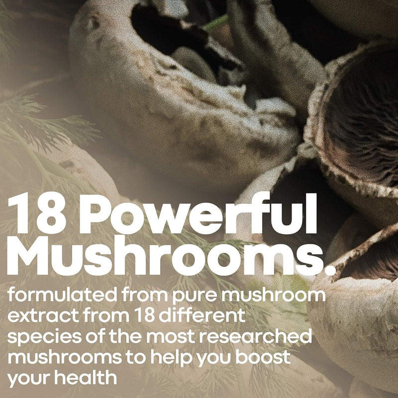 herbtonics-all-in-one-mushroom-supplement-for-immune-system-support-nootropic-brain-support-supplement-with-lions-mane-cordyceps-reishi-powerful-mushroom-complex-120-vegan-capsules-3