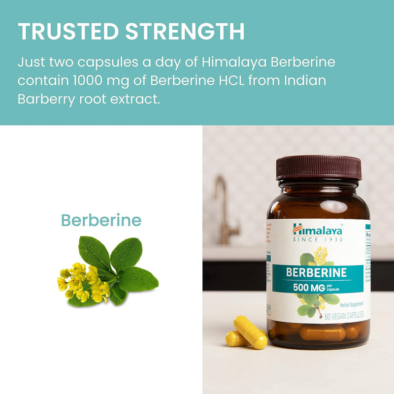 himalaya-berberine-for-balanced-support-digestion--6.jpg