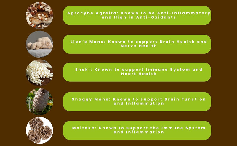 hongo-mushroom-power---mushroom-complex-powder---l-5.jpg