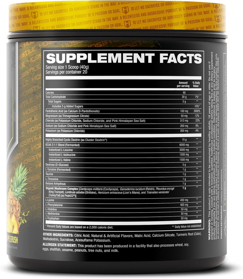 hosstile-intrar3-intra-workout-powder-intra-workou-6.jpg