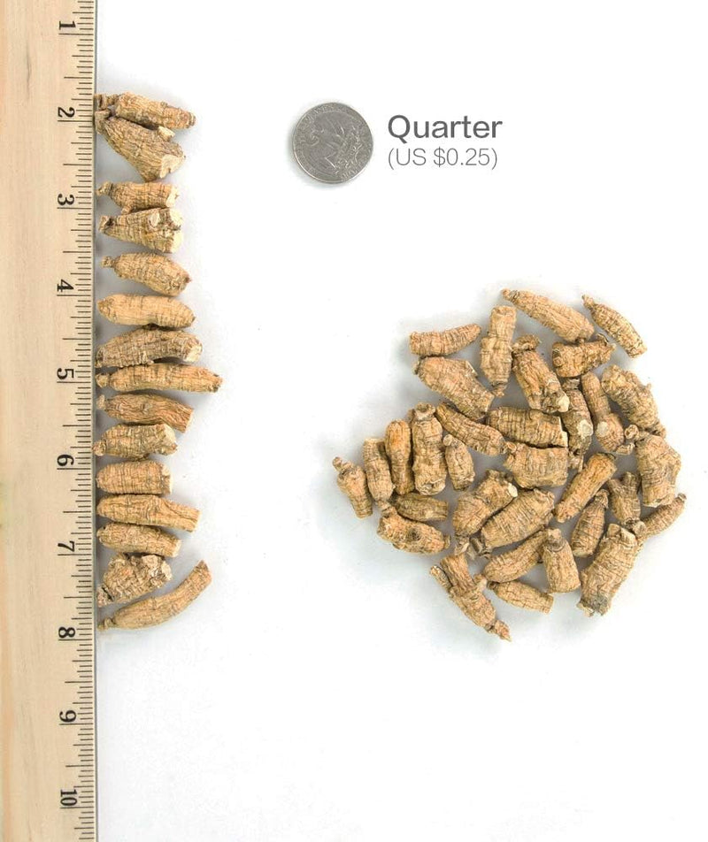 hsus-ginseng-sku-115-2-short-small-2-cultivated-am-2.jpg