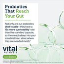 hyperbiotics-vital-nutrients-pro-mood-probiotic-wi-5.jpg