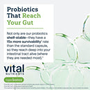 hyperbiotics-vital-nutrients-pro-natal-prenatal-pr-6.jpg
