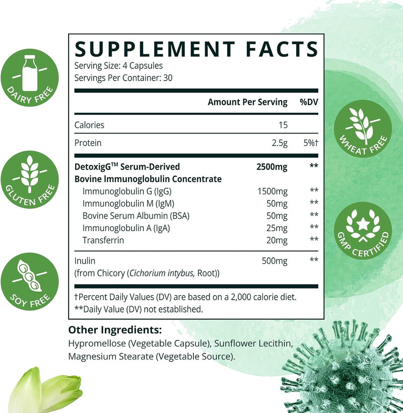 igg-immunoglobulin-supplement---igg-igm-iga-inulin-2.jpg
