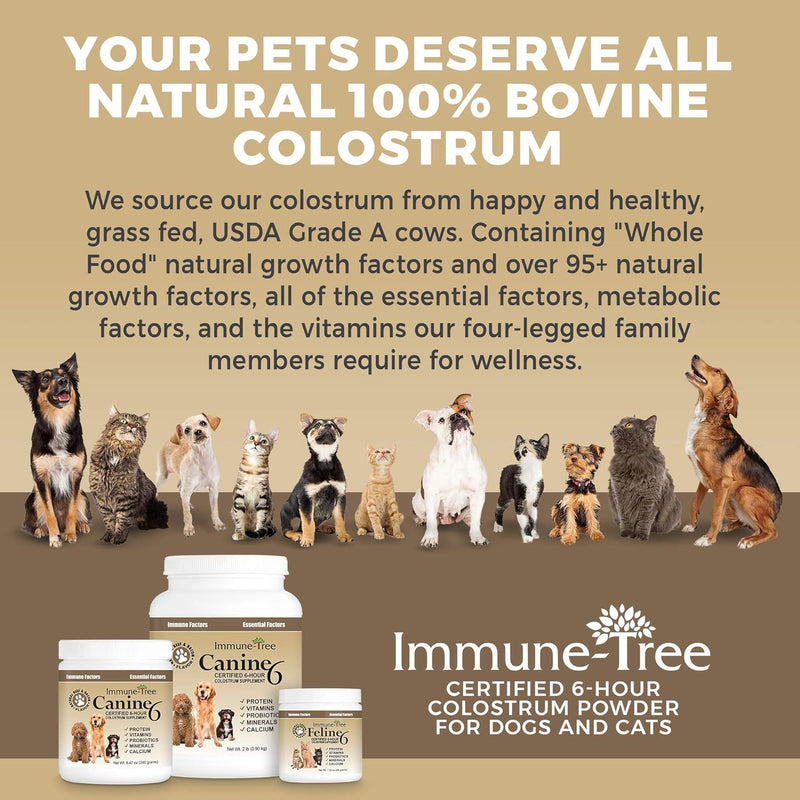 immune-tree-bovine-colostrum-for-dogs-puppies-immune-system-booster-supplement-relief-for-allergies-skin-itch-hot-spots-prebiotics-probiotics-support-digestion-made-in-usa-2lb-6