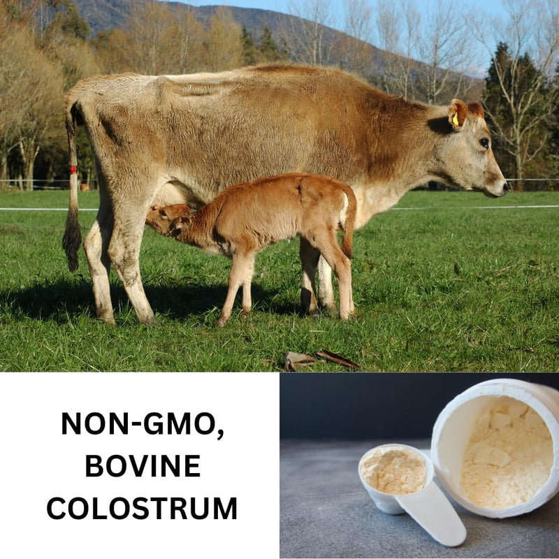immuno-gut-colostrum-plus---30-count-powder-supplement-for-adult-gut-and-immune-system-health-4