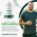 insulin-plant-capsules---3000mg-costus-igneus-leaf-powder-with-no-binders-fillers-gluten---vegan-non-gmo-supplements-for-women-men-by-powered-x-plants-240-capsules-1