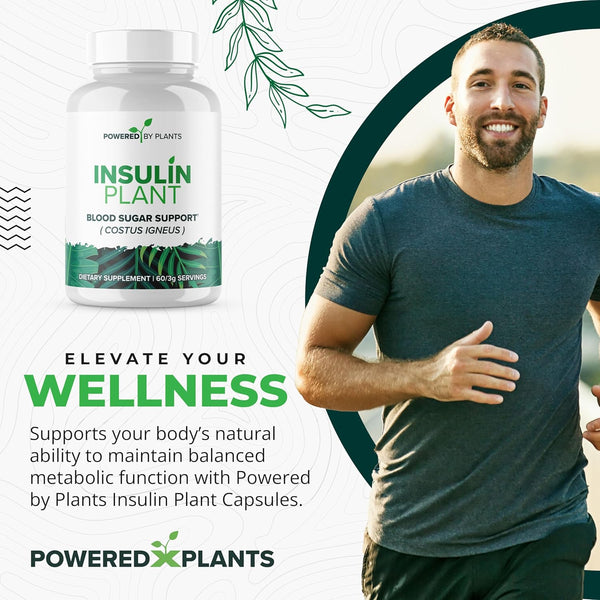 insulin-plant-capsules---3000mg-costus-igneus-leaf-powder-with-no-binders-fillers-gluten---vegan-non-gmo-supplements-for-women-men-by-powered-x-plants-240-capsules-1