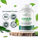 insulin-plant-capsules---3000mg-costus-igneus-leaf-powder-with-no-binders-fillers-gluten---vegan-non-gmo-supplements-for-women-men-by-powered-x-plants-240-capsules-2