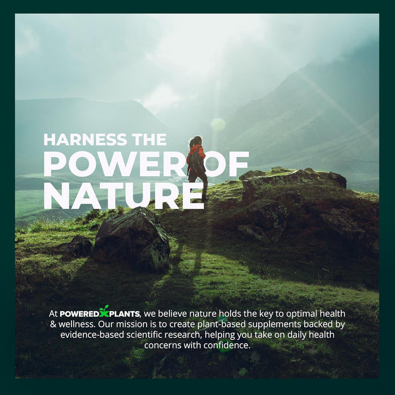 insulin-plant-capsules---3000mg-costus-igneus-leaf-powder-with-no-binders-fillers-gluten---vegan-non-gmo-supplements-for-women-men-by-powered-x-plants-240-capsules-4