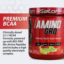 isatori-amino-gro-bcaa-powder-branched-chain-amino-5.jpg