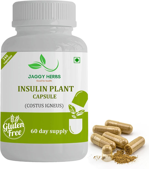 jaggy-premium-insulin-plant-capsules-costus-igneus-natural-supplement-240-veggie-capsules-60-day-supply-insulin-plant-1