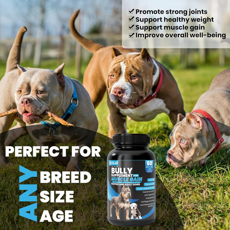 kilab-dog-weight-gainer-60-count-muscle-builder-dog-supplement-muscle-growth-supplement-for-dogs-puppies-and-adults-bully-growth-formula-with-turmeric-glucosamine-green-lipped-mussels-4