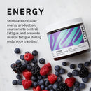 kion-aminos-essential-amino-acids-powder---amino-acid-nutritional-supplements-aminos-powder-essential-amino-energy-no-caffeine-eaas-amino-acids-powder-bcaa-eaa---30-servings-mango-2