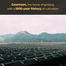 korean-black-panax-ginseng-capsule-1000mg---90-vegan-capsules-non-gmo-high-ginsenosides-high-absorption-rate-enhance-immunity-mental-performance-stamina-energy-men-women-3