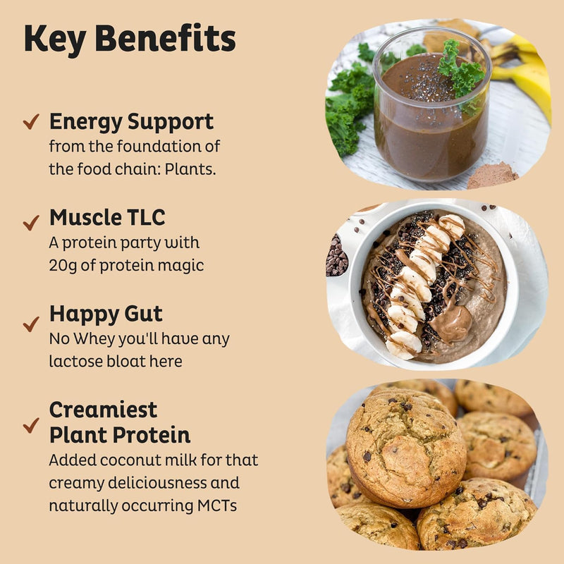 kos-organic-plant-based-protein-powder-chocolate-p-3.jpg