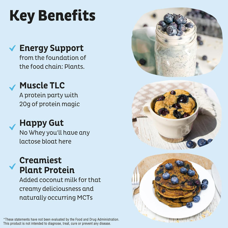 kos-plant-based-protein-powder-blueberry-muffin---organic-pea-protein-superfood-with-spirulina-and-immune-support-blend-soy-gluten-dairy-free---vegan-meal-replacement-for-women-men---15-servings-3