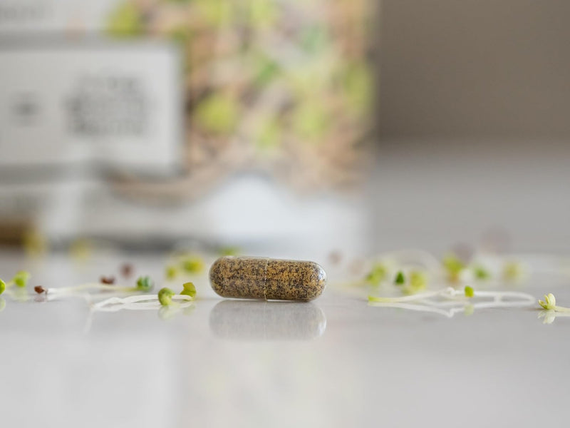 koyah-organic-broccoli-sprout-capsules-freeze-drie-9.jpg