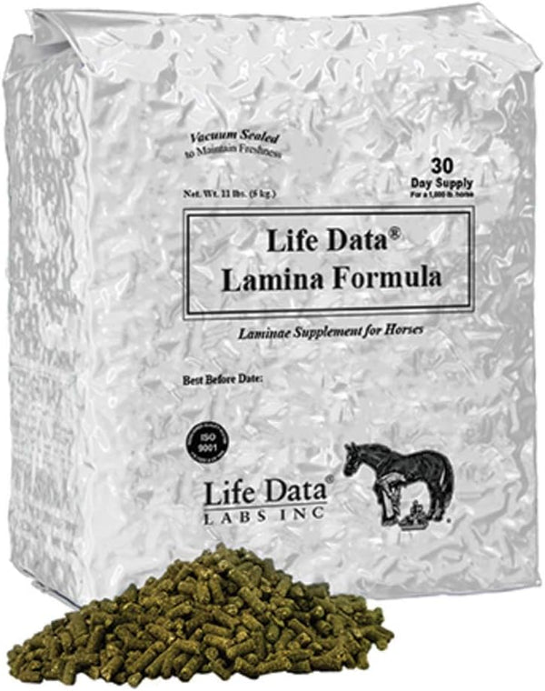 lamina-formula-1