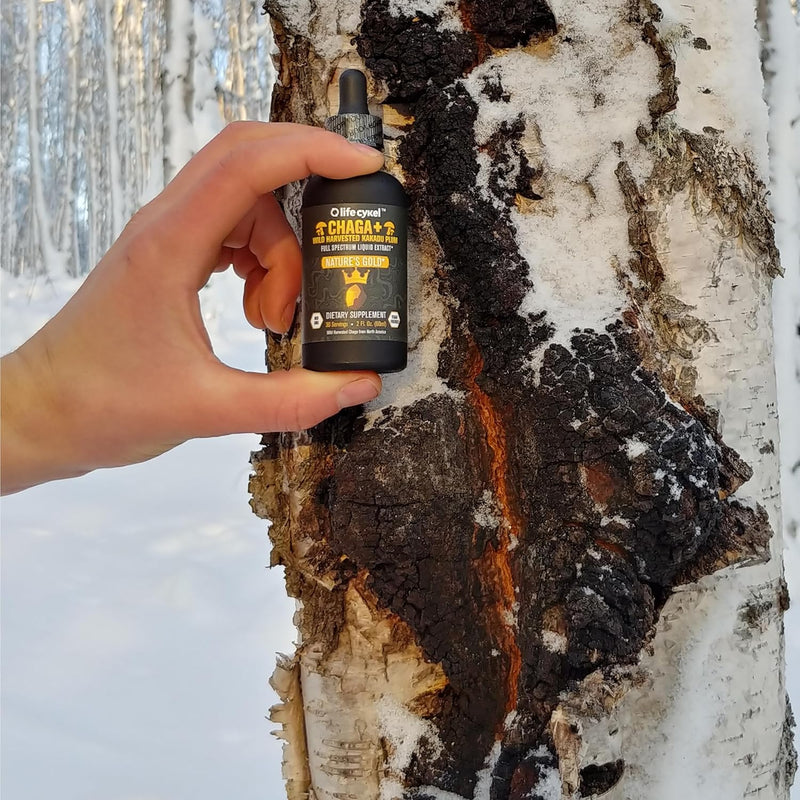 lifecykel---organic-chaga-mushroom-extract-with-ka-3.jpg