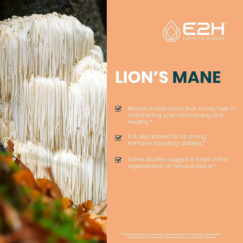 lions-mane-liquid---lion-mane-mushroom-supplement--3.jpg