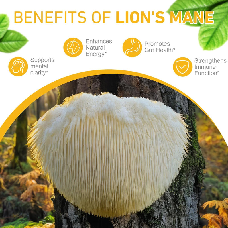 lions-mane-mushroom-drops-120000-mg-brain-suppleme-4.jpg