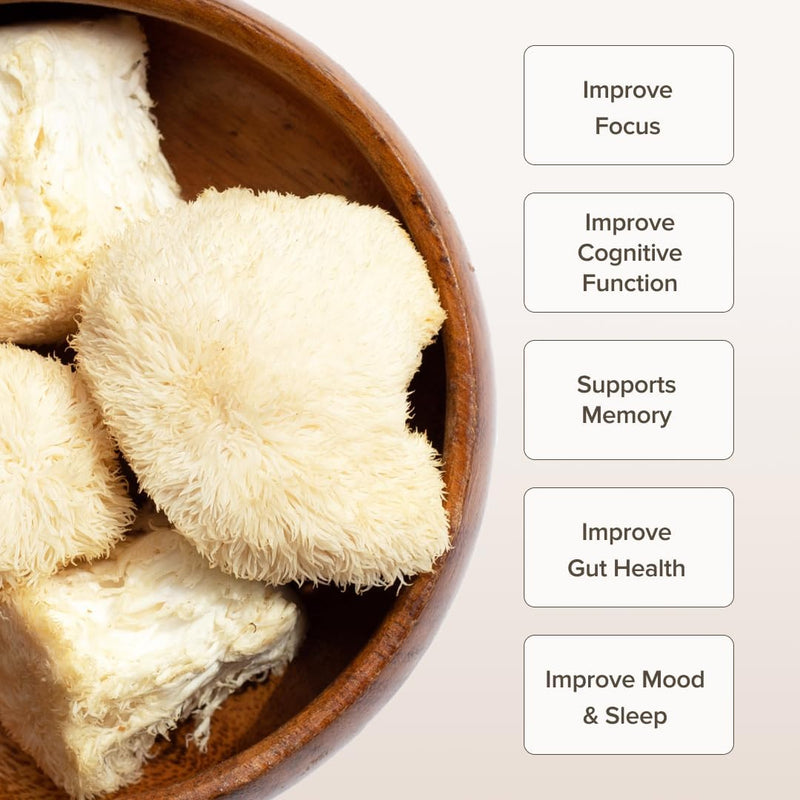 lions-mane-mushroom-powder-i-brain-health-memory-f-2.jpg