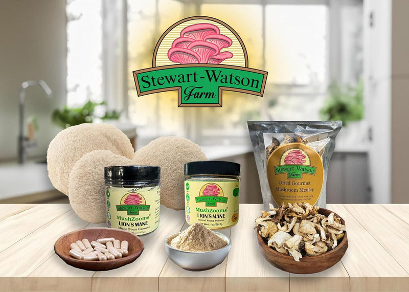 lions-mane-mushroom-powder-organic-brain-memory-su-1.jpg
