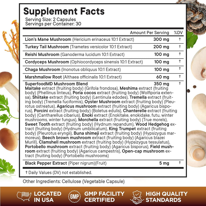 lions-mane-mushroom-supplement-with-turkey-tail-re-2.jpg