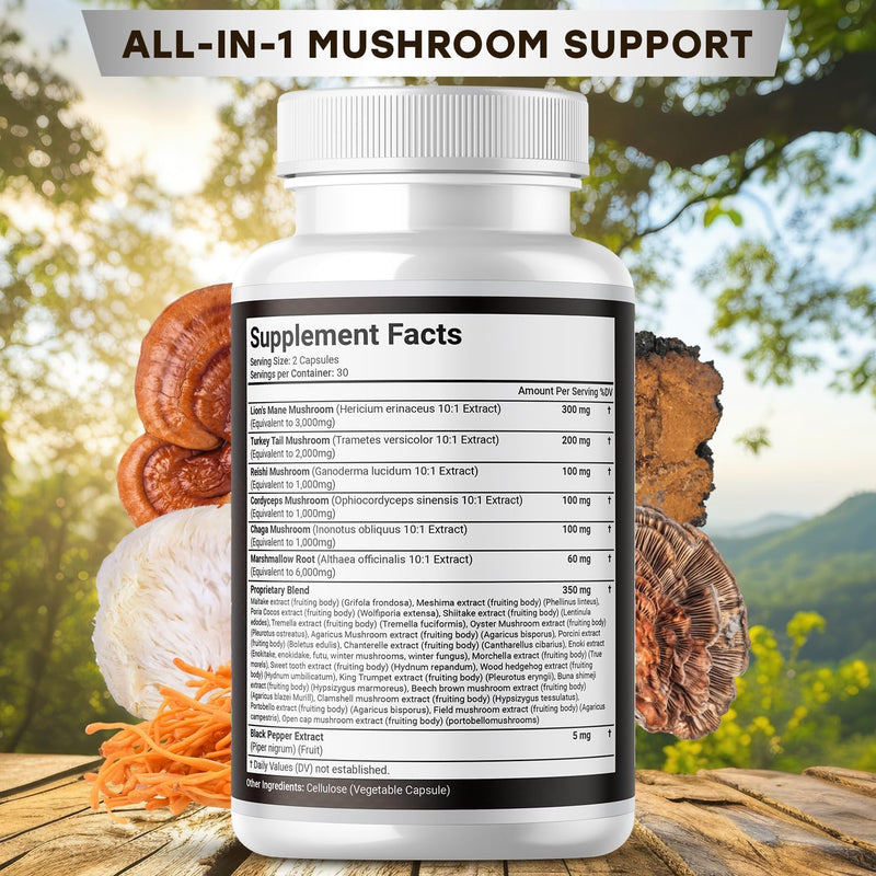 lions-mane-supplement-cognitive-support-immune-hea-2.jpg