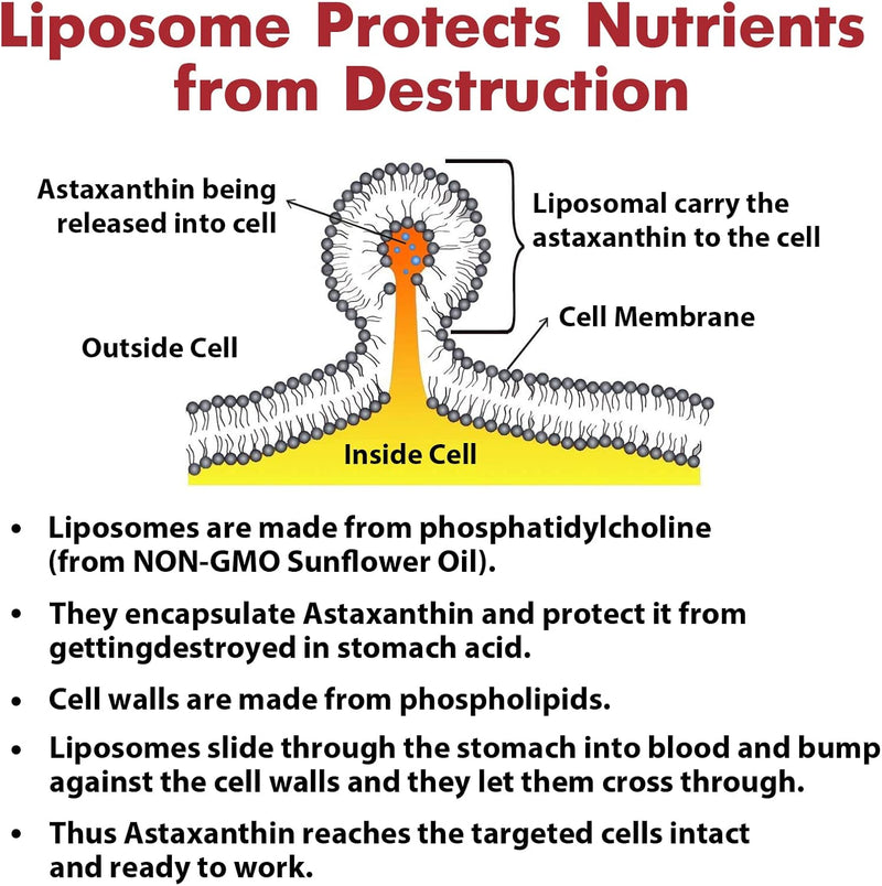 liposomal-astaxanthin-supplement-24mg-maximum-abso-5.jpg