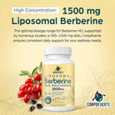 liposomal-berberine-hcl-1500-mg---berberine-supple-6.jpg