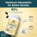 liposomal-berberine-hcl-1500-mg---berberine-supple-7.jpg