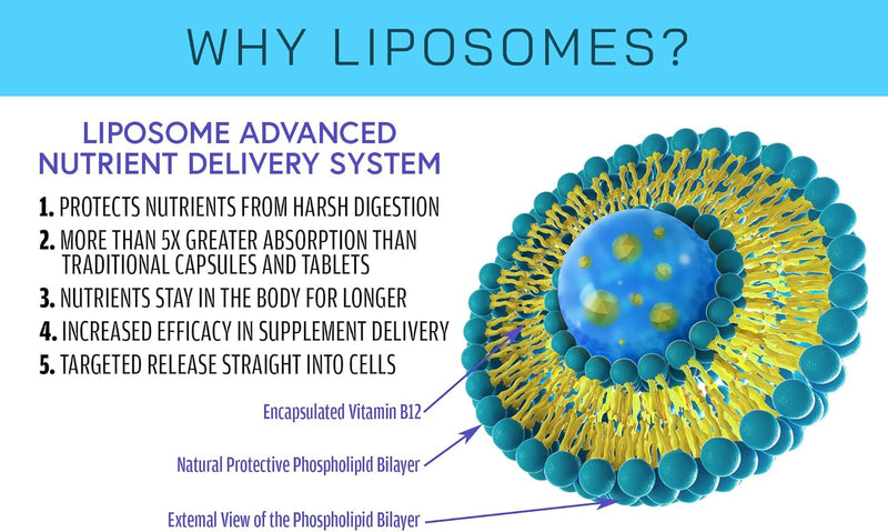 liposomal-glutathione-supplement---pure-glutathion-3.jpg