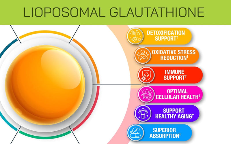 liposomal-glutathione-supplement---pure-glutathion-5.jpg