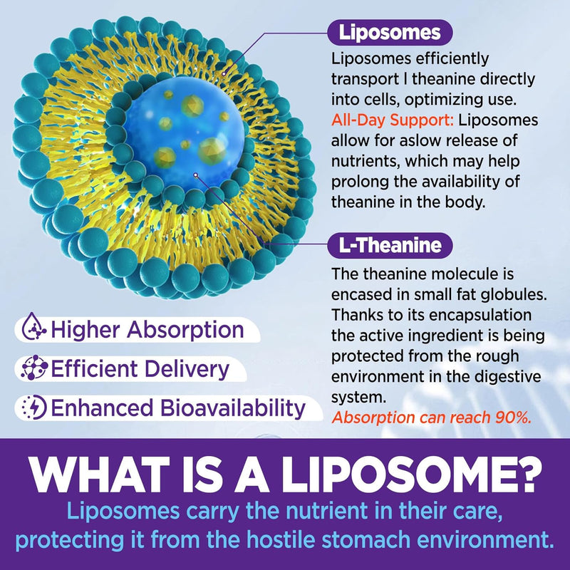 liposomal-l-theanine-gummies-for-adults-kids-l-the-3.jpg
